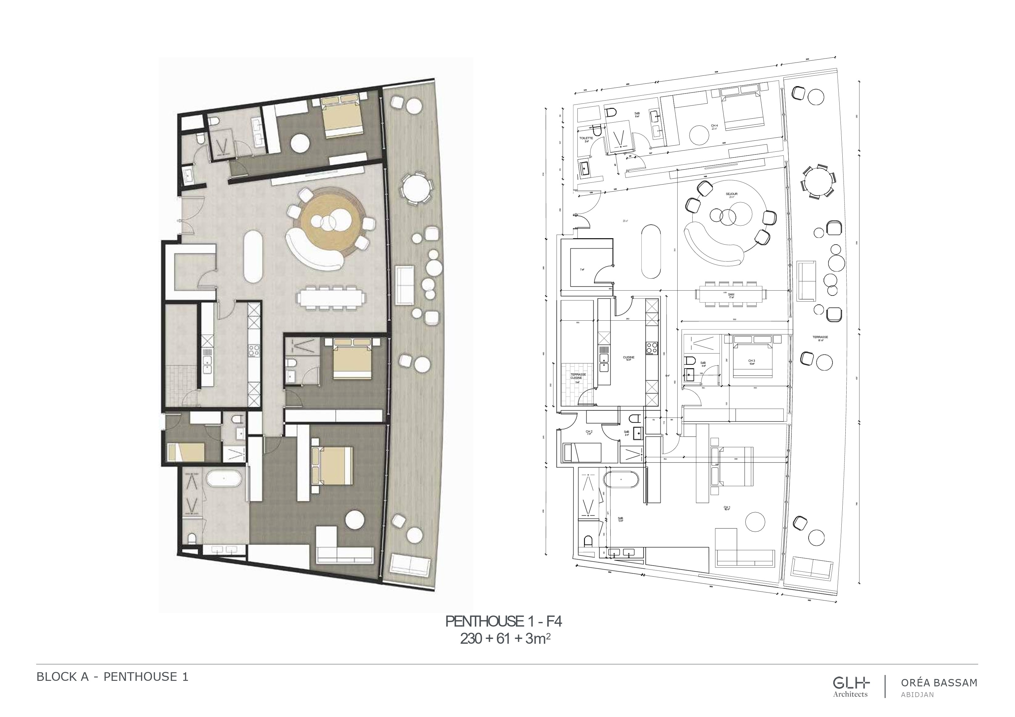 Penthouse (3 chambres + salon) 